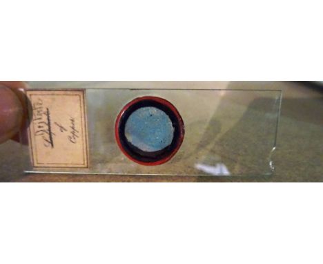 A quantity of Vintage microscope slides including; three boxed sets by 'Greenkat', 'Animals', 'sealife' and 'Micro-organisms'