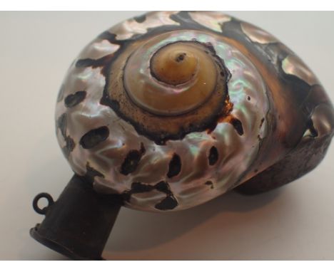 Unusual shell covered pipe bowl