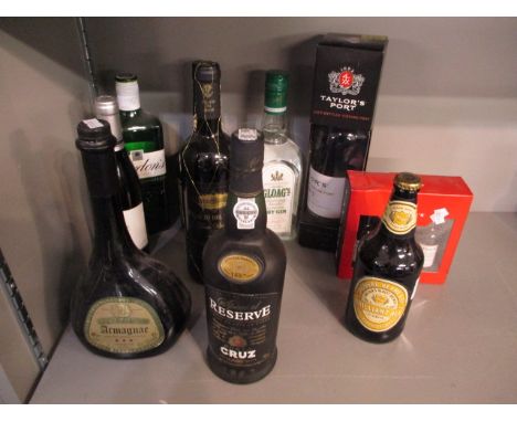 Twelve mixed bottles to include 2003 bottled Vintage Port, Gloags Dry Gin and three 50ml bottles of port