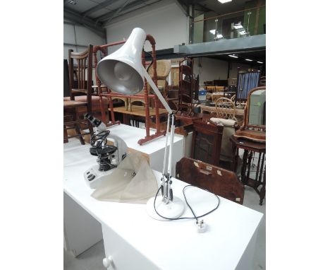An angle poised lamp