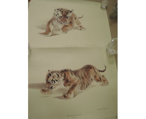 A selection of Tiger and cub prints after Ralph Thompson