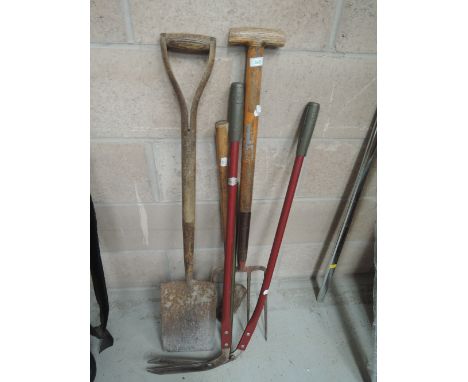 A selection of garden tools