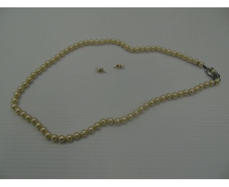 A Very Good Quality Pearl Necklace with Matching Earrings.