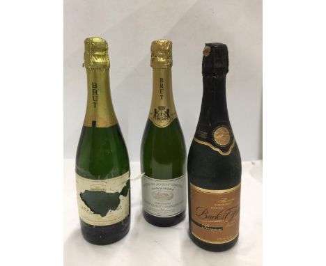 THREE 75CL BOTTLES - BUCKS FIZZ, SHROPSHIRE SPARKLING WINE ETC 