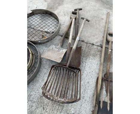 AN ASSORTMENT OF VINTAGE TOOLS TO INCLUDE POTATO SHOVELS AND A SPADE ETC 