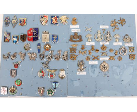 French and Belgium Military Badges: Board of Belgium badges to include cap and collars to include Military Police, Armoured ,