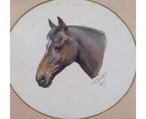 Celia Beresford, portrait of a horse, watercolour, signed and dated 1877, 22cm x 25cm, framedSeveral fox marks in the backgro