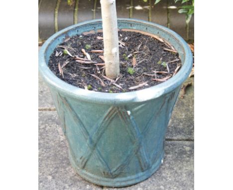 A modern pottery planter, in turquoise, 35cm high with tree, a coopered barrel planter, etc. (a quantity)