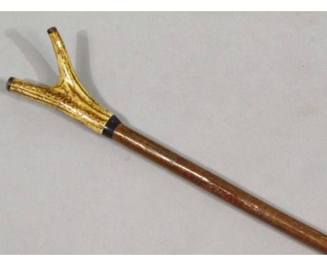 A polished horn shepherd's 'Y' shaped walking stick, with brass tip end, 142cm wide. 