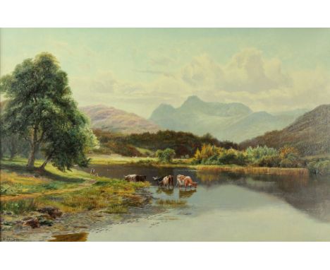 F W Hayes (19th/20th Century) - 'Cattle grazing' Oil on canvas, signed, inset within gilt frame, 34x50cm   CONDITION REPORT: 