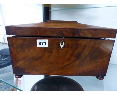 A 19TH CENTURY SARCOPHAGUS TEA CADDY.