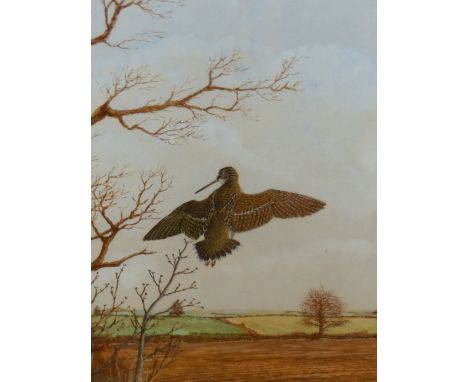 "FISH HAWK" DAVID K. WOLFE MURRAY (1929 - 2010) ARR. A WOODCOCK, SIGNED WATERCOLOUR 50 x 35cms