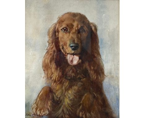 Arthur Gay (1895-1981), a mid 20th century watercolour portrait of a cocker spaniel, signed to the lower left and dated 1948 