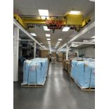 ECSA 3-Ton Monorail Overhead Crane