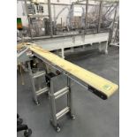 Dorner 2200 Series 6" Belt Conveyor
