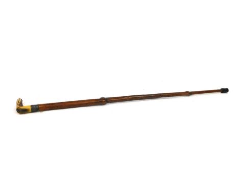 An early 20thC walking stick, with horn handle and silver collar, hallmarks rubbed, 19cm long.