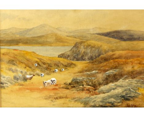 Rev. W. Rooke, Bolton Church and Church Gate watercolour, 21cm x 28cm, and another, sheep in a landscape, watercolour, 18cm x