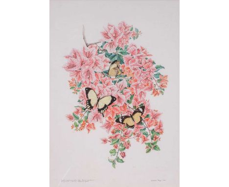 Barbara Jeppe (1921-1999) South African  Mockertail Swallowtail: Killie Campbell Signed and dated 1980, pencil and gouache, 6