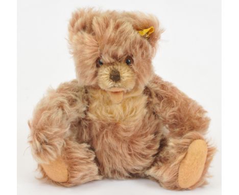 Steiff Zotty "Zeb" vintage teddy bear, yellow tag and button, 1950s / 1960s, caramel frosted tip mohair with beige inset muzz