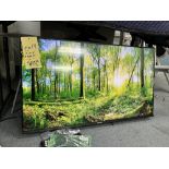 TV HISENSE 40 " # 40A4 KV a / manette