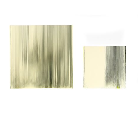 Rachel Howard,  British b.1969 -   Dead Spit (Diptych), 2011;   acrylic, oil and household paint on canvas laid down on board