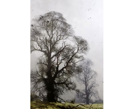 After Richard David Shepherd (British, 1931 - 2017) "Misty Morn", giclee print of silhouetted trees against a brooding sky wi