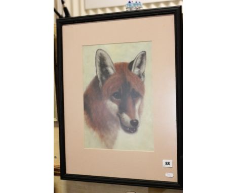 Oil painting wildlife study portrait of a fox  