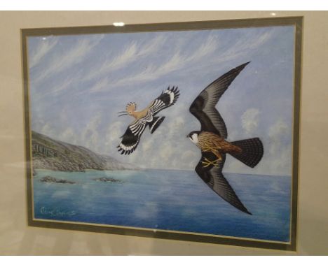 Framed and glazed watercolour of a hunting falcon signed Clive Byens 30 x 20 cm 