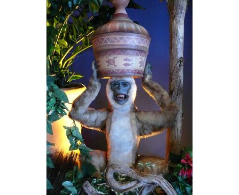 Monkey with jar Monkey hides his head in a jar. Electric automaton (FR) Dimensions: 0,60 x 1,20 x 0,60