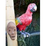 Parrot