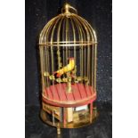 Bird Cage