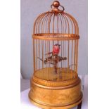 Bird Cage by Griesbaum