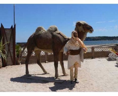 Camel and Camel Driver Incredible life size camel with camel driver automaton with 4 electric movements in good working condi