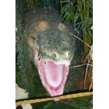 Crocodile with open mouth