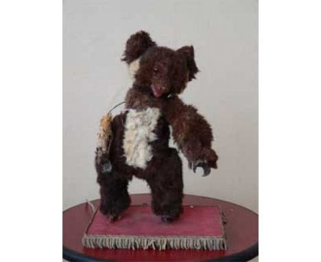 Koala Electrified window display automaton with 2 movements in good working condition (FR) Dimensions: 0,40 x 0,20 x 0,20 