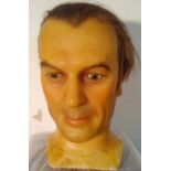 Male wax head