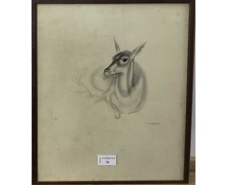 JOHN R SKEAPING, STUDY OF A DOE pencil on paper, signedframed and under glassoverall size 40cm x 33cm 
