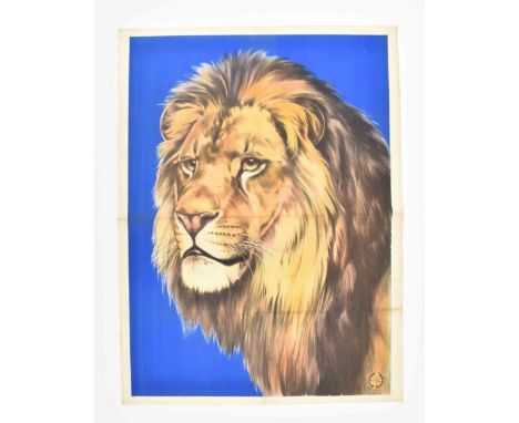 [Animal Dressage] [Lions] "Portrait of a lion"  Friedländer, Hamburg, 1902. 71 x 96 cm. Lith. no. 2234.Folded. 