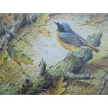 BOND, TERANCE JAMES (born 1946) British (AR), Redstart, a signed limited edition print,