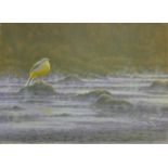 DILLON, NICHOLAS (born 1966) New Zealand, Grey Wagtail, oil on canvas, signed. 40 cm x 56 cm.