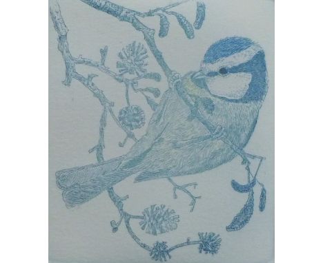 WOODCOCK, MARTIN (1935-2019) British (AR), Blue Tit, a signed limited edition etching, numbered 3/15, signed. 9 cm x 8 cm.