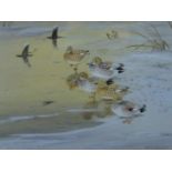 ROBJENT, RICHARD (born 1937) British (AR), Gadwall Frozen Out, watercolour, signed,