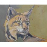 HASLEN, ANDREW (born 1951) British (AR), Lynx, acrylic on canvas, signed. 41 cm x 50 cm.