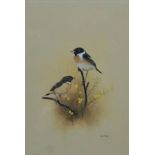FLOOD, REX (1928-2009) British (AR), Stonechat, watercolour, signed, framed and glazed.