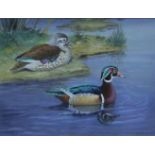 ROBJENT, RICHARD (born 1937) British (AR), Carolina Ducks, watercolour, signed and dated 1984,