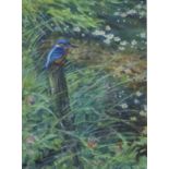 PARTINGTON SWLA, PETER (born 1941) British (AR), Kingfisher, watercolour, signed, framed and glazed.