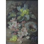 CLARE, VINCENT (1855-1930) British, Primroses and Birds Nest, oil on canvas, framed. 29 cm x 21 cm.