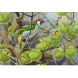 HASLEN, ANDREW (born 1951) British (AR), Green Woodpecker on Apples, watercolour, signed,