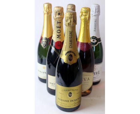 6 bottles mixed Lot Champagne and Sparkling Cava Wine comprising:
1 bottle Champagne Bollinger Special Cuvee Brut NV, 2 bottl