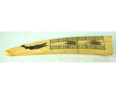 A Marine Art walrus tooth
Having carved decoration of walrus's and sharks, and a cribbage board, length 29cm.